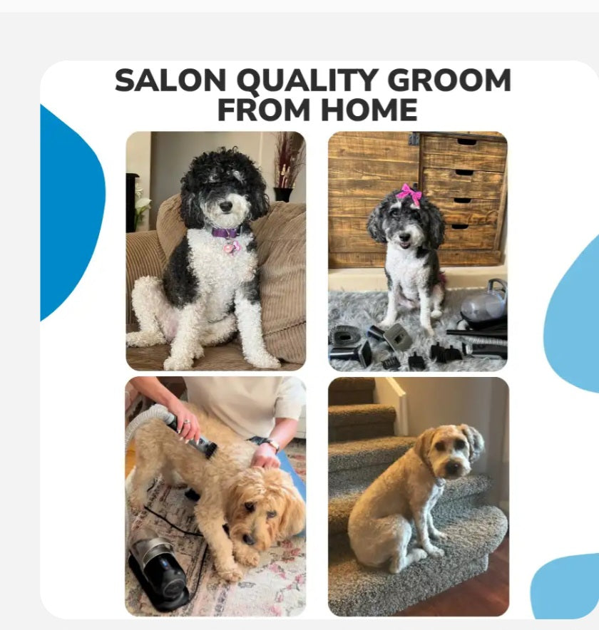 Pet Groomer Vac